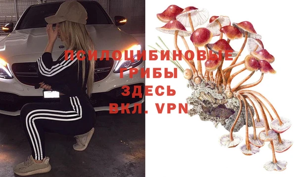круглые Няндома
