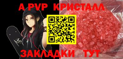 спиды Донской