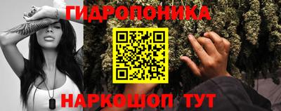 амф Донецк