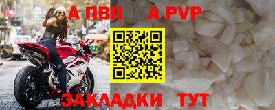спиды Донской