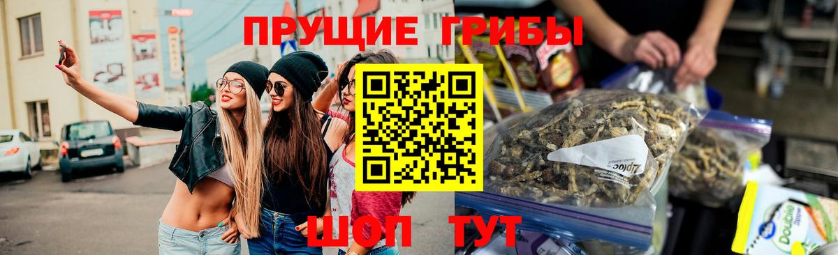 Галлюциногенные грибы MAGIC MUSHROOMS  Кисловодск  Галлюциногенные грибы MAGIC MUSHROOMS 