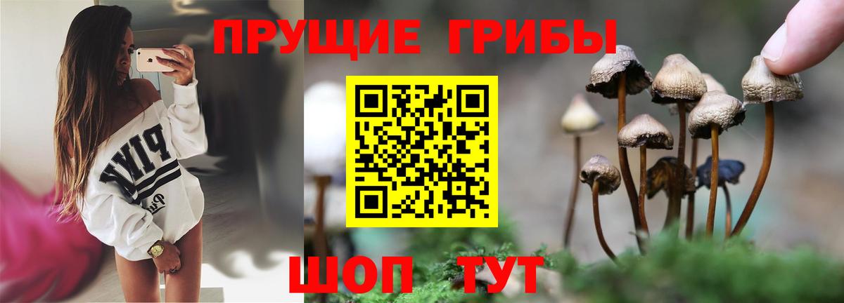 Псилоцибиновые грибы MAGIC MUSHROOMS Кисловодск