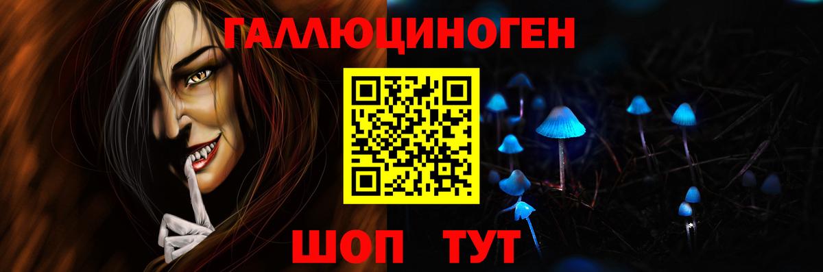 цена наркотик  Вход с VPN  Кисловодск  Псилоцибиновые грибы Psilocybe 