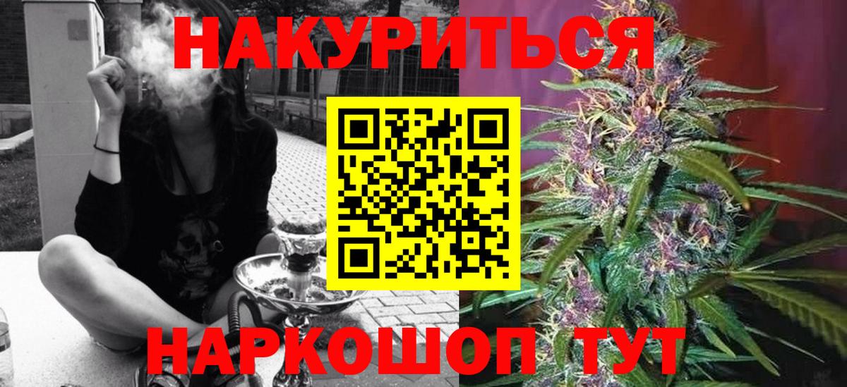 Марихуана конопля Кисловодск